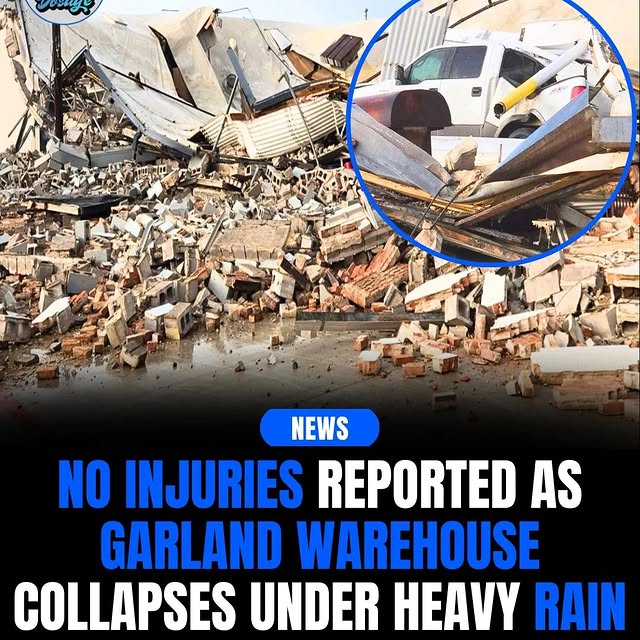  ......dosage   'recent posts' 