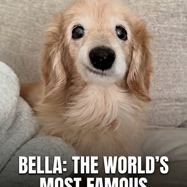  ........malsgram   'recent posts' 