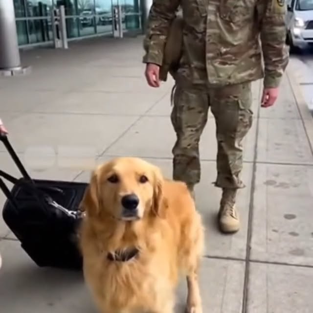  .....sland   'recent posts' 