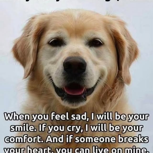  ......iends2   'recent posts' 