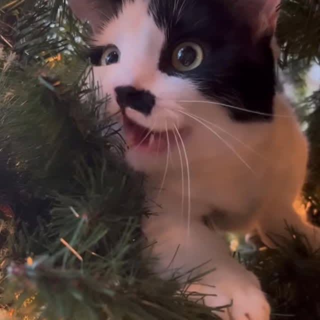  ......kekkek   'recent posts' 