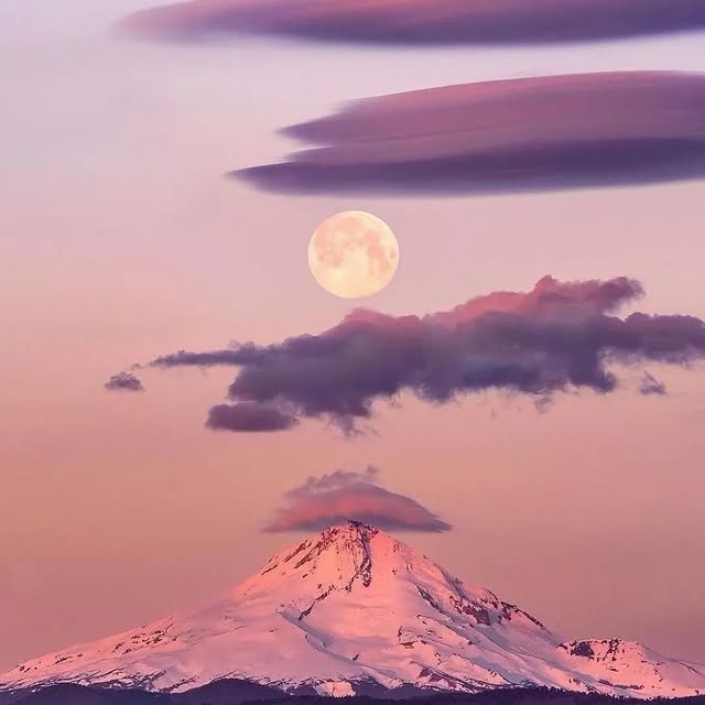  .....ervor   'recent posts' 