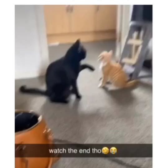  ......alking   'recent posts' 