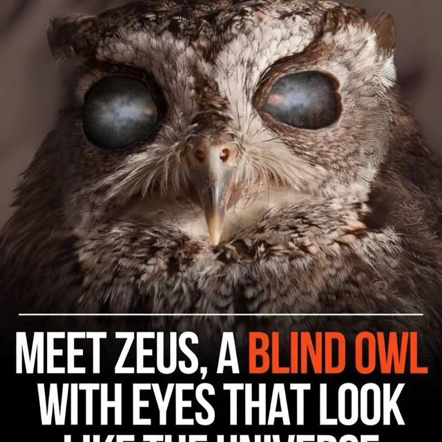  ......fervor   'recent posts' 