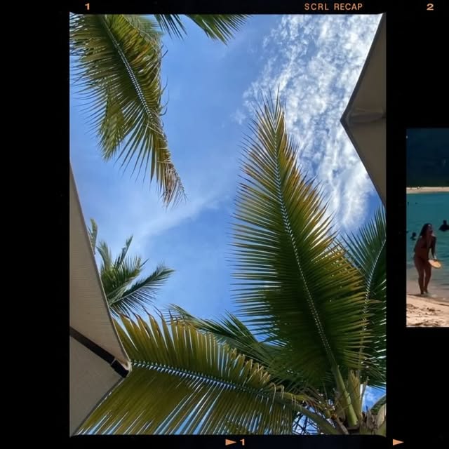  ......allazon   'recent posts' 