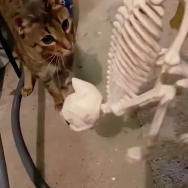  .....ns.hub   'recent posts' 