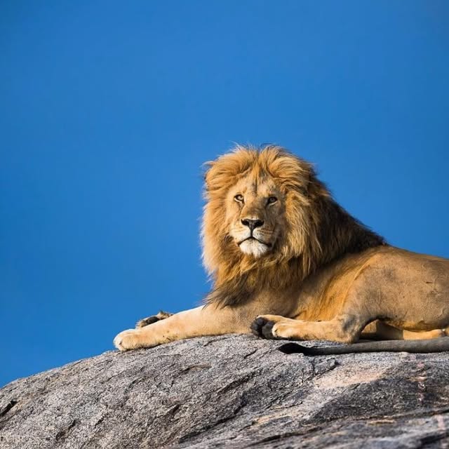  ......fehood   'recent posts' 