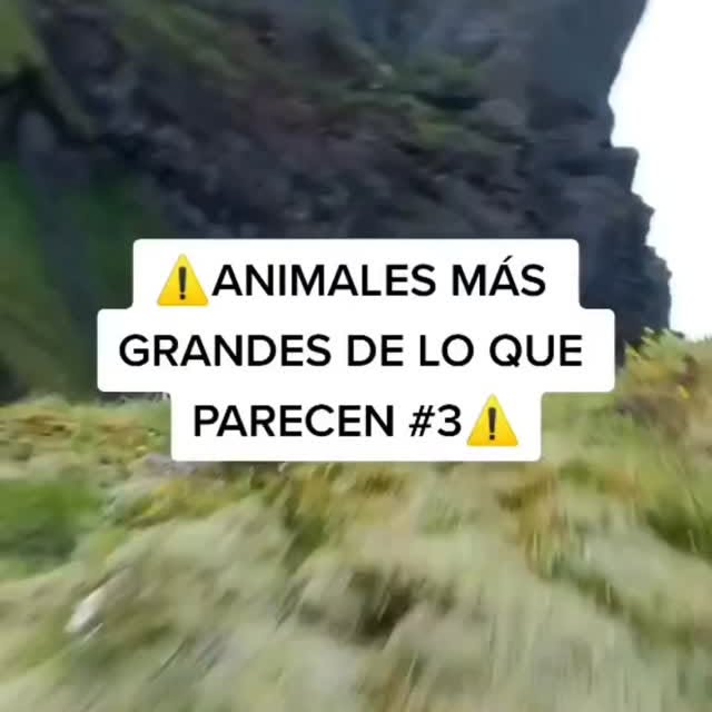  .......terioso   'recent posts' 