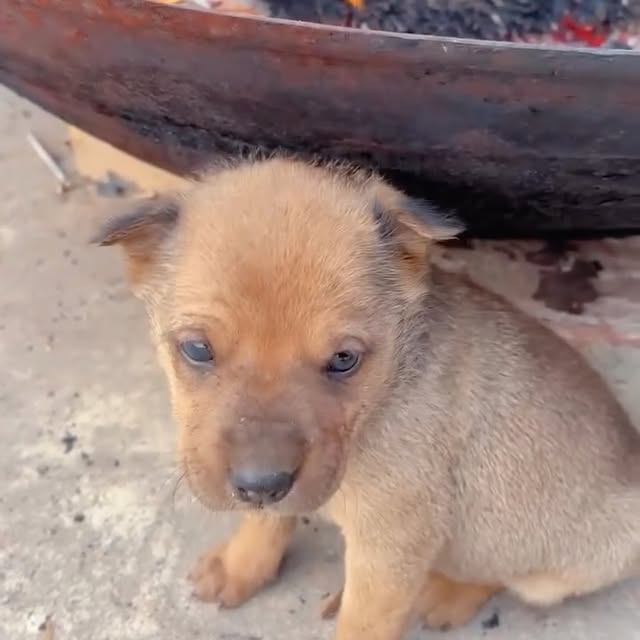  ......s.club   'recent posts' 