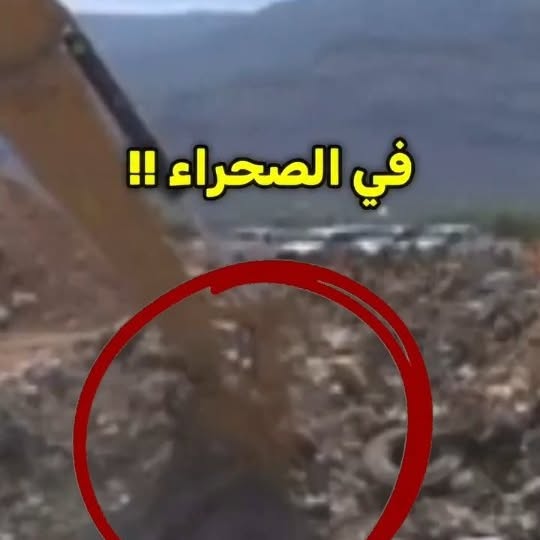  ....dev   'recent posts' 