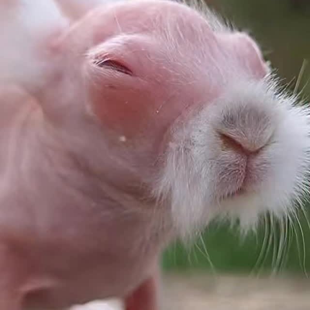  ....vita   'recent posts' 