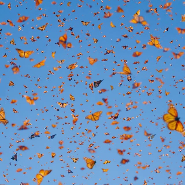  ......erfever   'recent posts' 