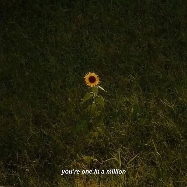  .........tthiswall   'recent posts' 