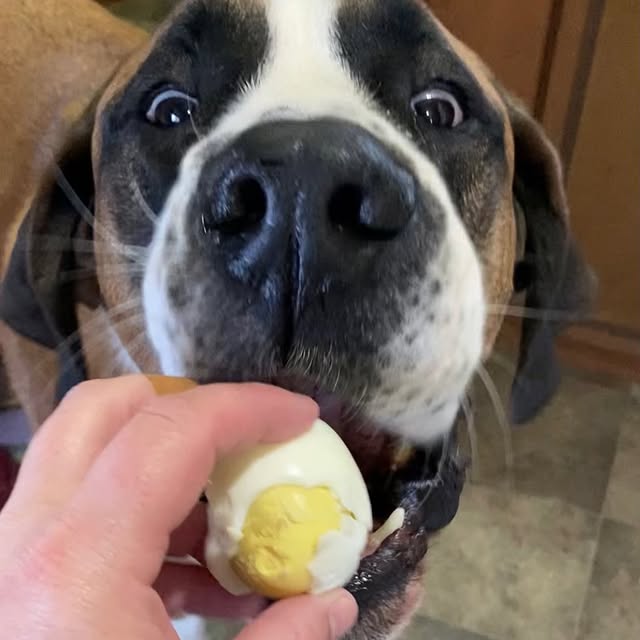  .........intbernard   'recent posts' 