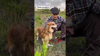  ..igo  'recent videos' 