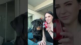  .......ler Life  'recent videos' 