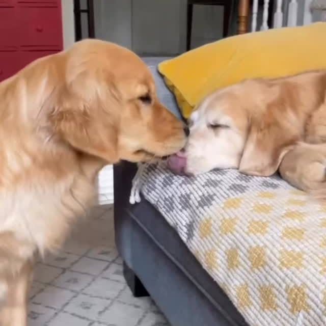  ......orable   'recent posts' 