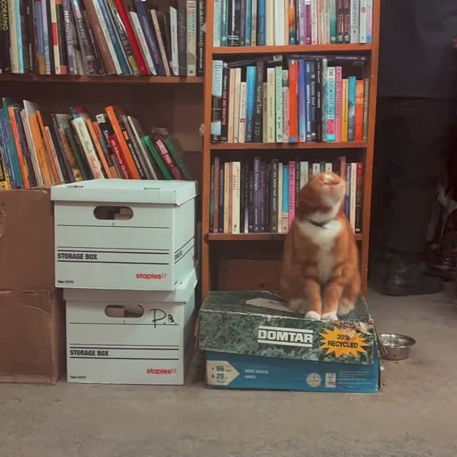  ........ftoronto   'recent posts' 