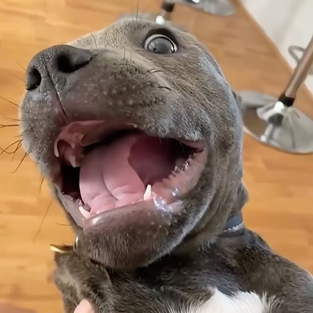  ........malsgram   'recent posts' 