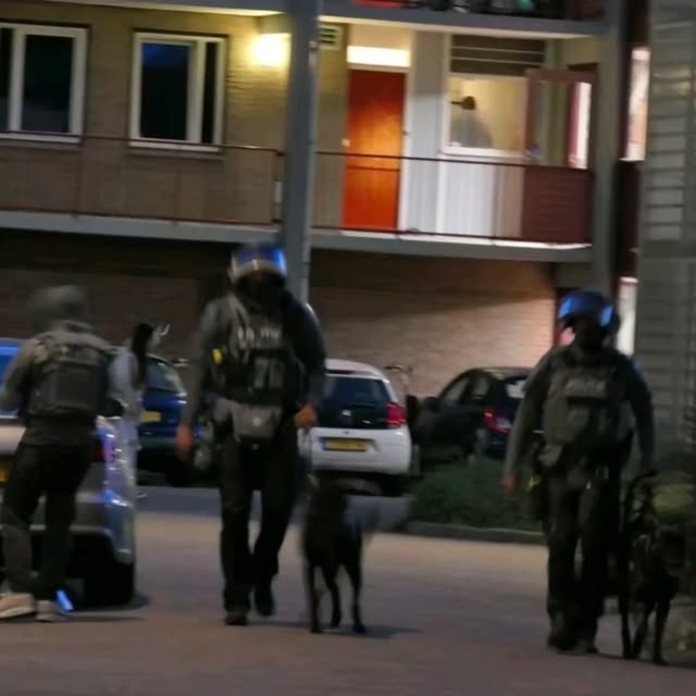  ........ieteamnl   'recent posts' 