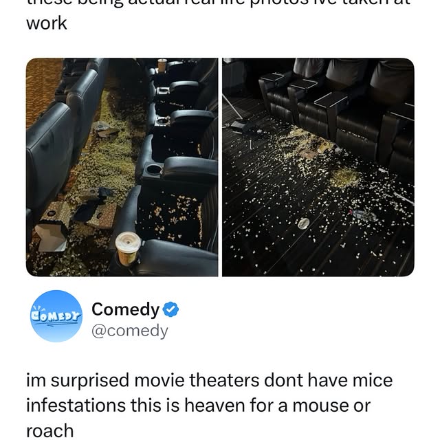  ...edy   'recent posts' 