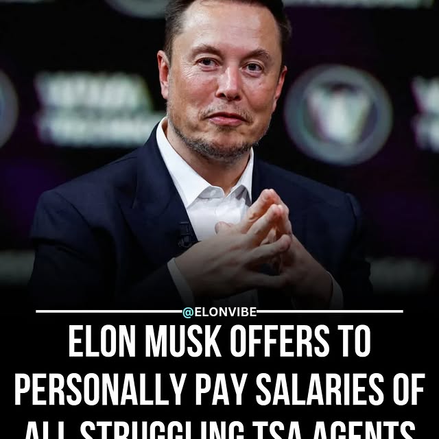  ....vibe   'recent posts' 