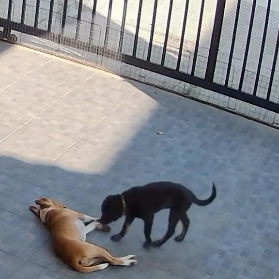  ......estige   'recent posts' 