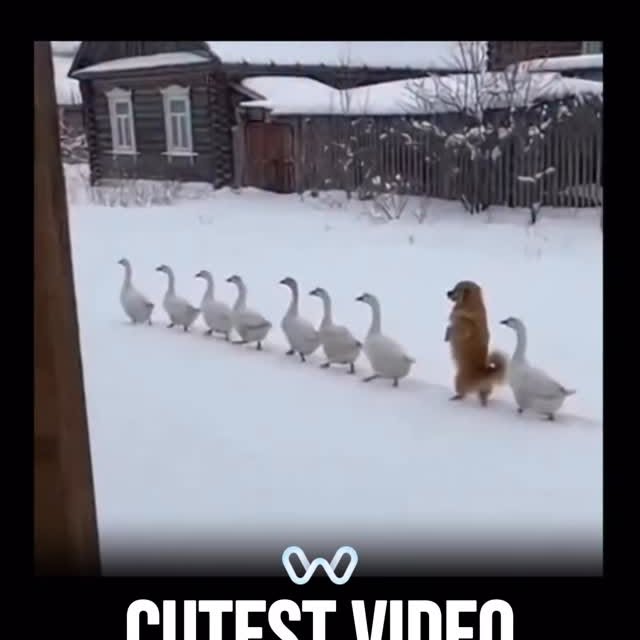  ........alth_club   'recent posts' 