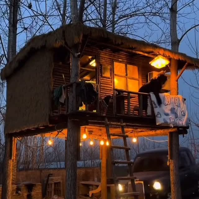  ........use_shop   'recent posts' 