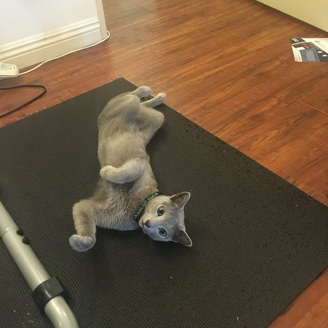  ......n_boris   'recent posts' 