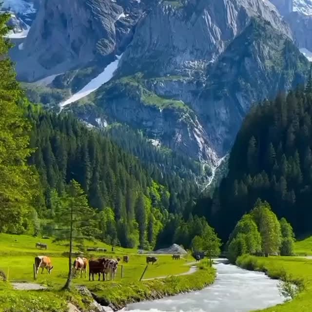  ......advs.pk   'recent posts' 