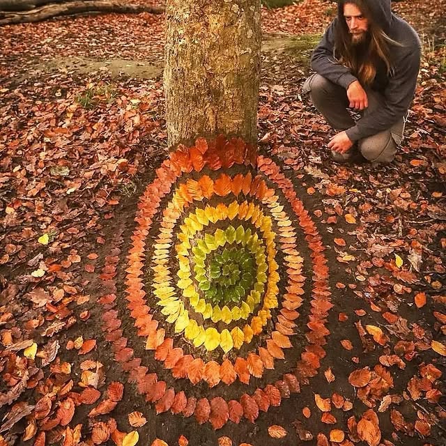  ......fervor   'recent posts' 