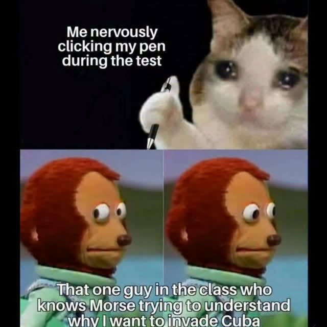  .......insreels   'recent posts' 