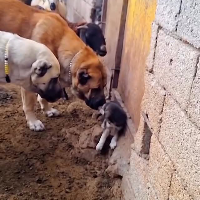  ...urre   'recent posts' 