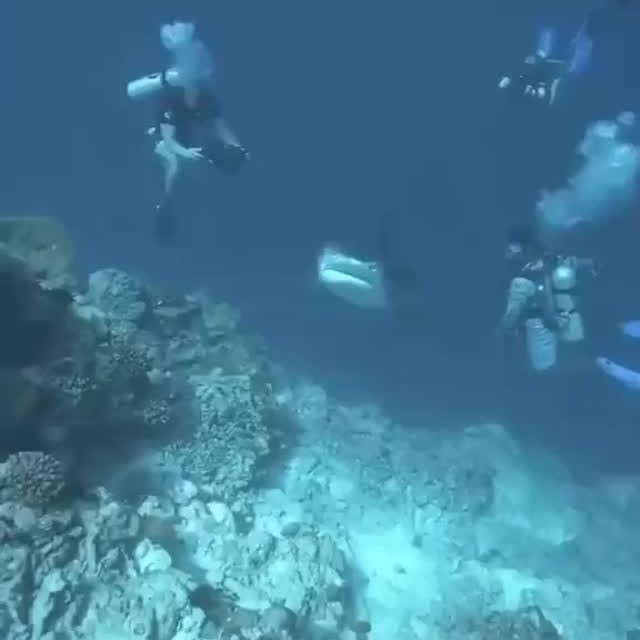  .........arkattacks   'recent posts' 