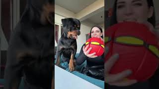  .......ler Life  'recent videos' 