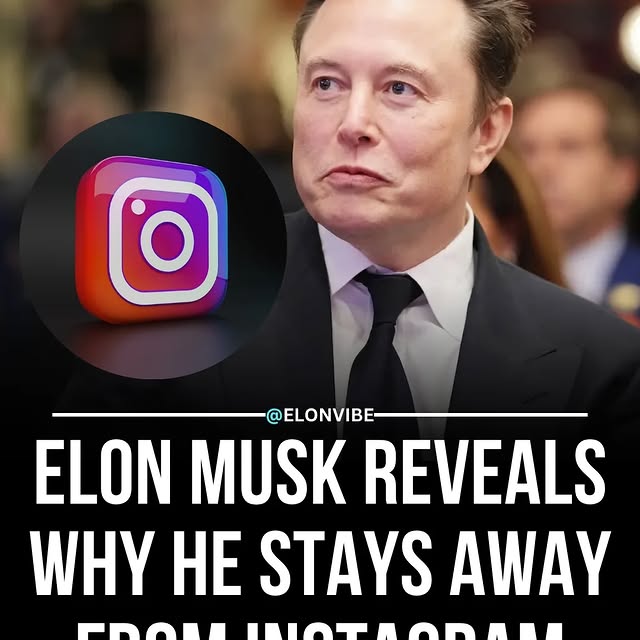  ....vibe   'recent posts' 