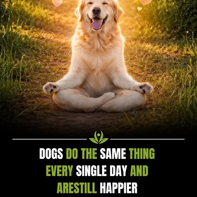  ........ypractice   'recent posts' 