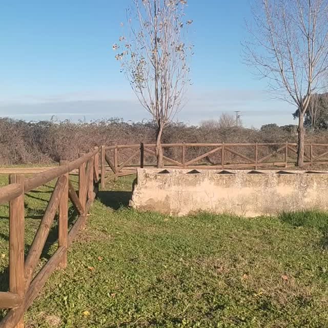  ........viajeros   'recent posts' 