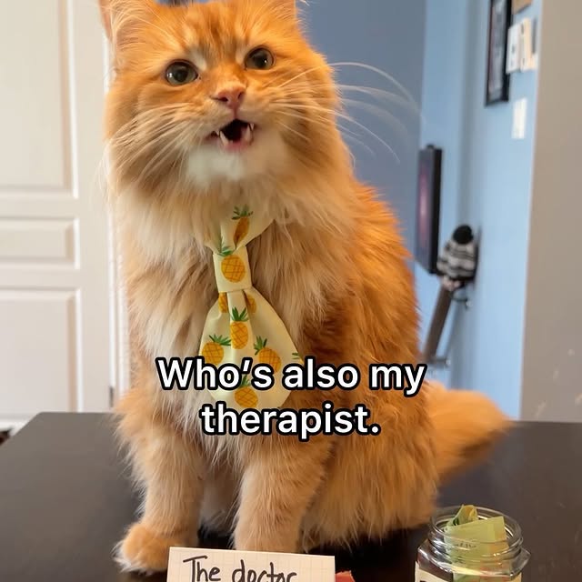  .........tofficial   'recent posts' 