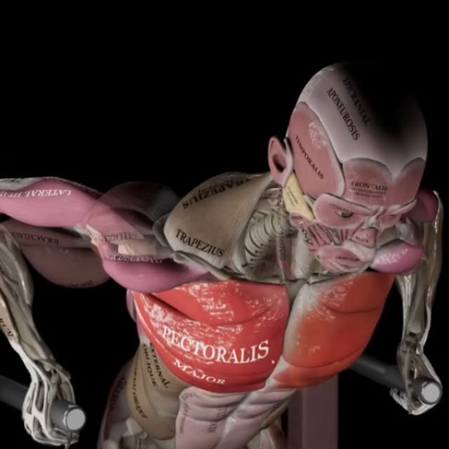  ......thenics   'recent posts' 