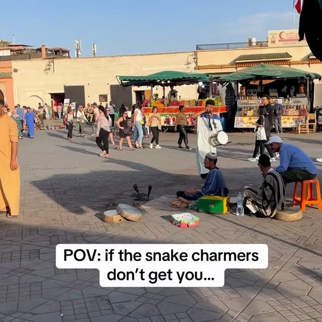  ........iewpoint   'recent posts' 