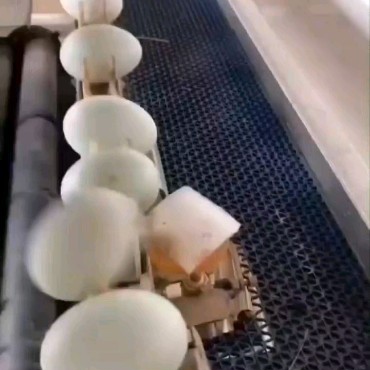  .....iverse   'recent posts' 