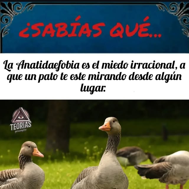  .......terioso   'recent posts' 