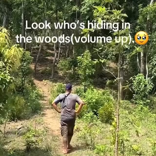  ...urre   'recent posts' 