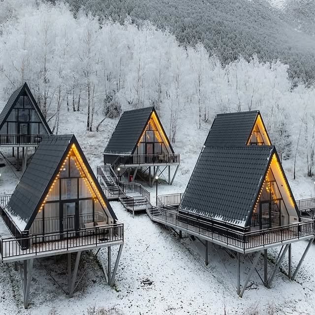  .......sespics   'recent posts' 