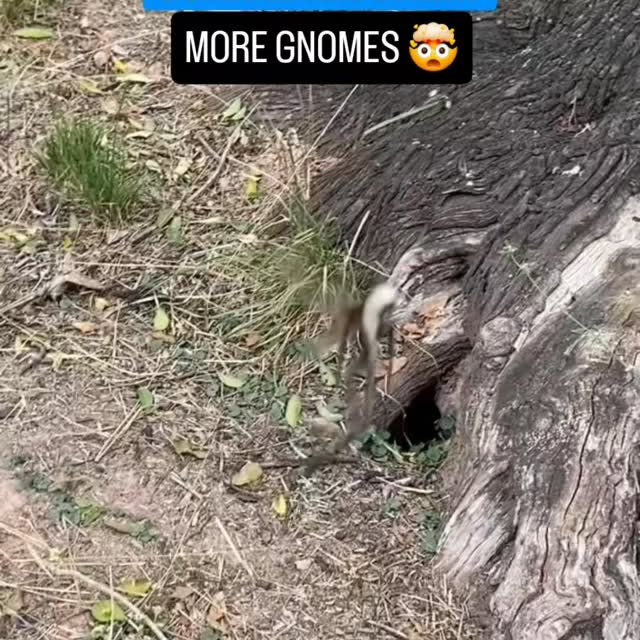  .......vnation   'recent posts' 