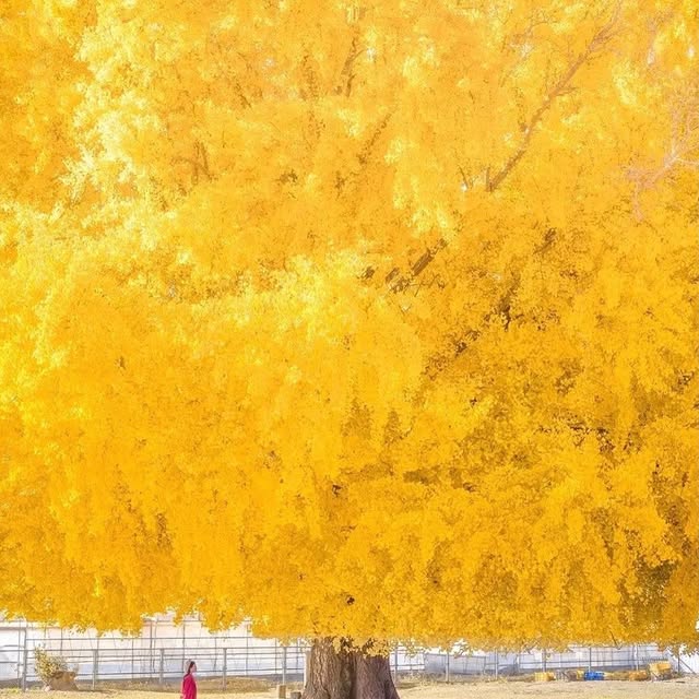  ......inside   'recent posts' 