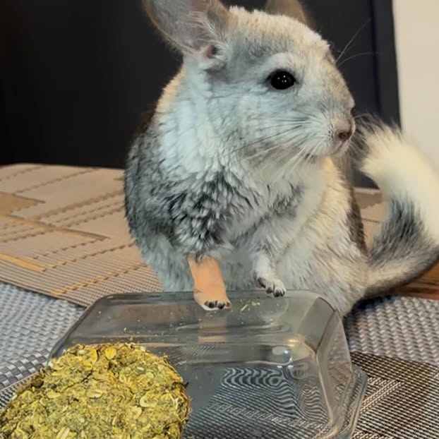  ........del_exito   'recent posts' 