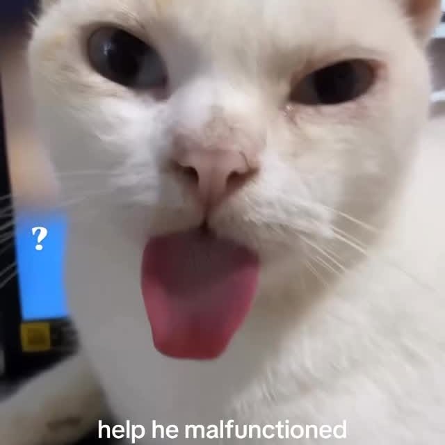  ...........irtonguesout   'recent posts' 